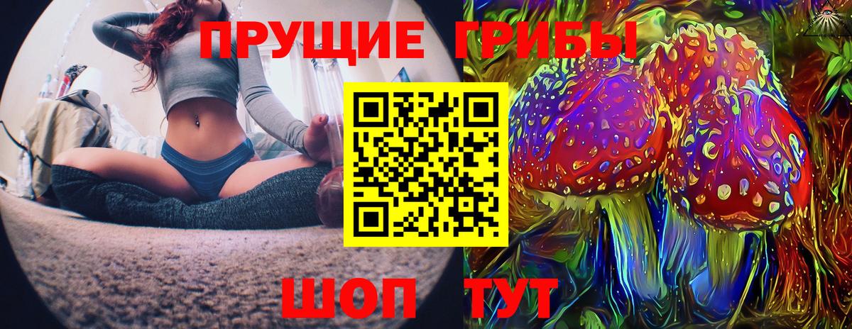 Симферополь  Галлюциногенные грибы прущие грибы  Вход с VPN  наркотики  Галлюциногенные грибы Cubensis 